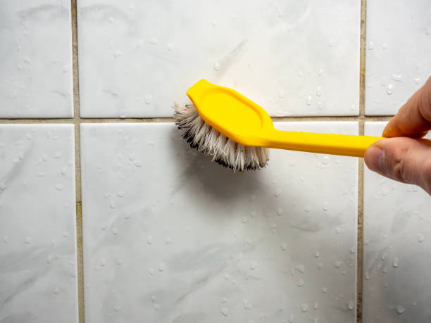 Best Professional Mold Removal  in Fulda, MN
