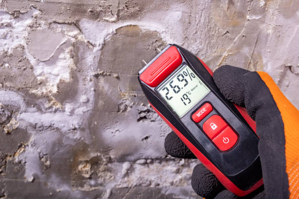 Professional Mold Removal in Fulda, MN